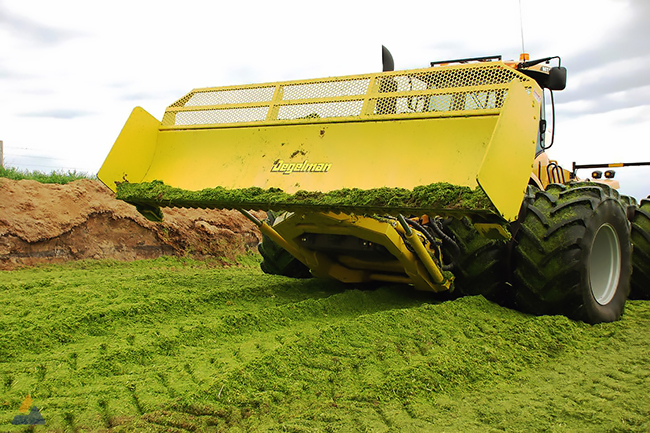 Degelman-Dozer-Blade-7900-88-Challenger-900+.jpg